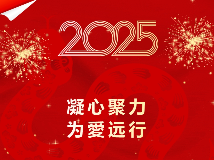 PNG电子光电2024年幸福工程总结表彰大会